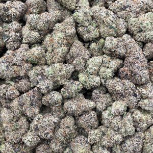 PH39B 🧌 Rotten Gummy Cruncheez 🍭