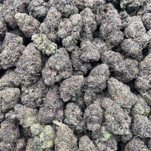 PF31B 💨 Awful Lotta Runtz ⛽️