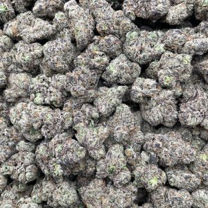 PR69Y 💣 Sugar Bomb Punch 🍭
