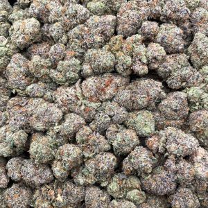 PF33C 🍭 Guava Daquiri 🍐