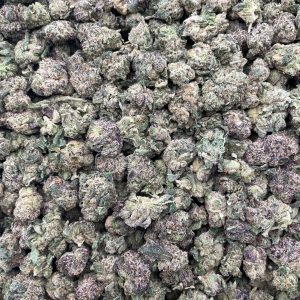 PG32C 🍬 Sour Skull Candy Shmediums 💀